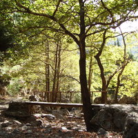 Walking - Agia Irini Gorge 1