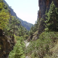 Walking - Agia Irini Gorge 2