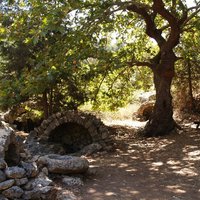 gavalohori_05