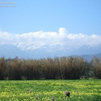 kalives_03
