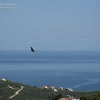 tsivaras_01