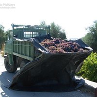 tsivaras_02