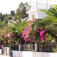 tsivaras_06