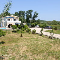 10 Villa Adelphi long driveway and front garden with orange trees.