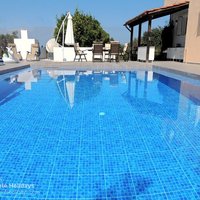 05 Olive Grove pool dining area and summer kitchen.